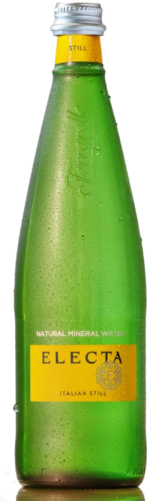 Electa